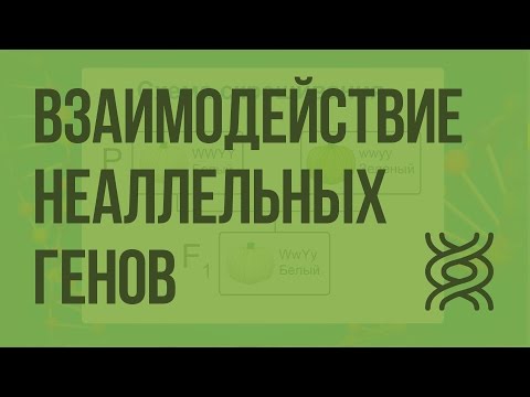 Бейне: Плеиотропия қай кезде пайда болады?