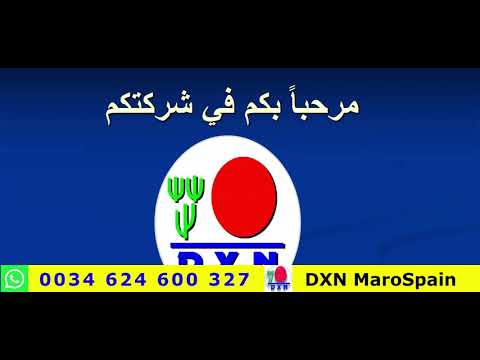 معلومات ج د م ه مة عن شركة دي إكس إن 