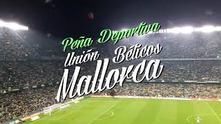 Download Lagu Vive la pasión del Betis en la isla MP3