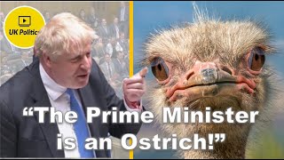 The Prime Minister is an Ostrich!, Starmer attacks Boris Johnson at Prime Minister's Questions