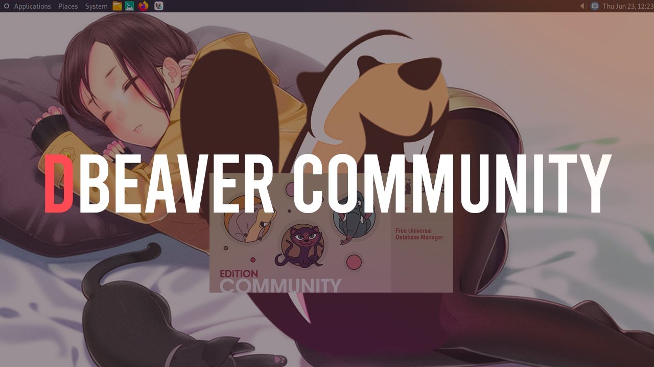 DBeaver Community | Free Universal Database Tool - YouTube