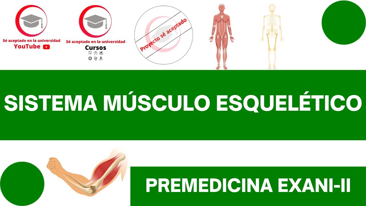 SISTEMA MÚSCULO ESQUELÉTICO (ESTRUCTURA Y FUNCIONES BÁSICAS) | CLASE 29 DE PREMEDICINA PARA EXANI-II
