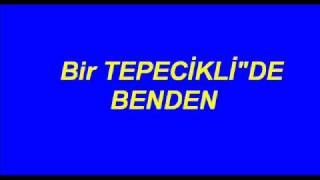 Tepecikli Saliaga