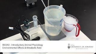 BIO 202 Environmental Effects and Metabolic Rate Lab
