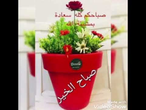 ياغاليه يانبع الحنان كلمات والحان الفنان الكبير الطيب عبدالله مشاركة الأداء د محمد كمال يونس