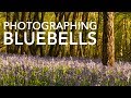 Photographing Bluebells