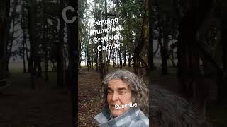 les muestro el camping municipal La Chacra en Carhue, Buenos Aires