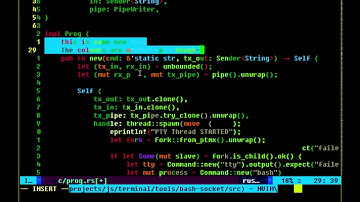 Vim running in my Typescript terminal emulator