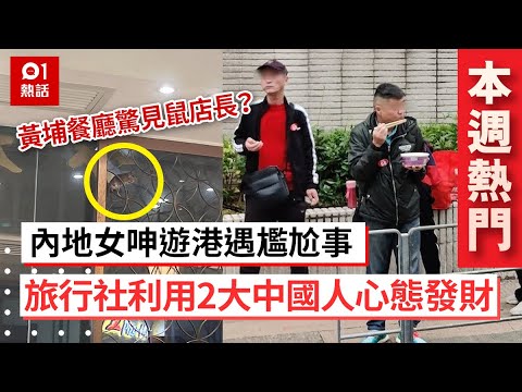 #本週熱門話題｜黃埔餐廳驚見鼠店長  內地女呻遊港遇尷尬事  旅行社利用2大中國人心態發財