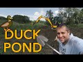 We Dug a Duck Pond