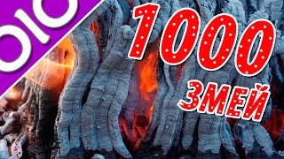 Фараонова змея из 1000 таблеток глюконата кальция!  Супер эксперимент. #olo