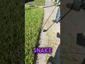 I Started A Lawn Care Business For 30 Days.. (Part 3)