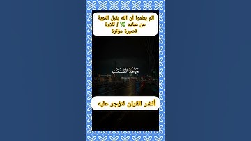 الم يعلموا أن الله يقبل التوبة عن عباده 🌿 | تلاوة قصيرة مؤثرة #المصحف #quran