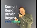 Somon Rengi Duvar Boyası Örnekleri ve Dekorasyon Önerileri