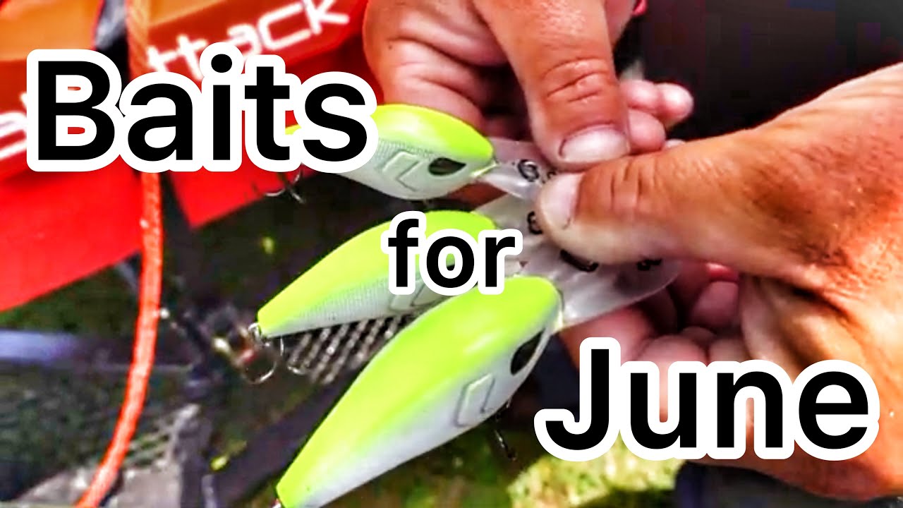 Top 5 Baits For June Bass Fishing! 