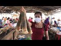 Buy bamboo shoot for cooking / Bamboo shoot with chicken recipe / By Countryside Life TV