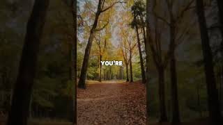 #jesuschrist #motivation #christianalbum #love #fyp #viral #jesusisking #jesusislord #jesussaves