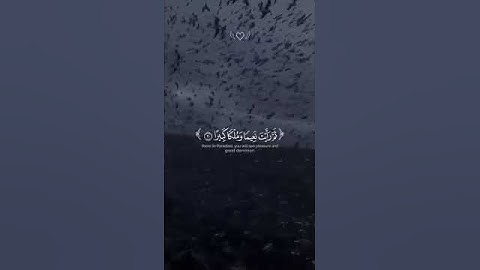 تلاوة هادئة بصوت الشيخ محمد اللحيدان🤍|#لولا_تحبكم #قران_كريم #راحة_نفسية #احبكم