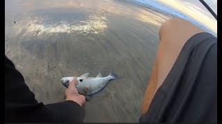 5 Tips For Surf Fishing with Sand Crabs