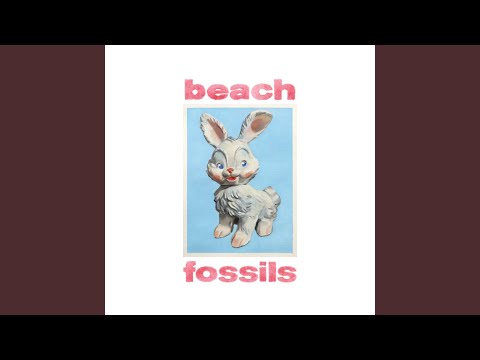 Putar Waterfall - Beach Fossils