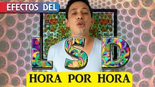 EFECTOS DEL LSD HORA POR HORA EFECTOS DEL LSD HORA POR HORA