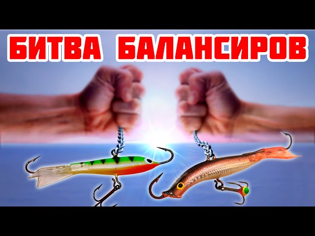 ЗАРУБА!!! Чей балансир круче? Спросим у окуня