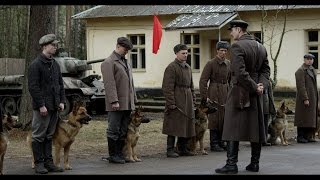 RED DOG