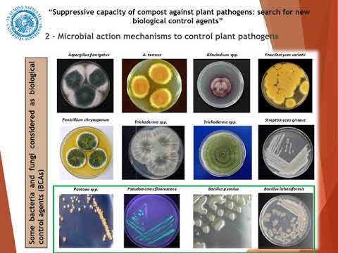 Suppressive capacity of
