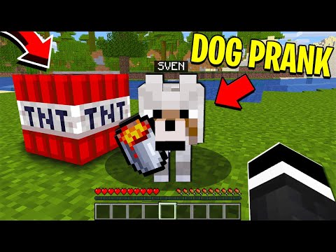 trolling-as-a-dog-in-minecraft!?-*gone-wrong*---minecraft-trolling-video