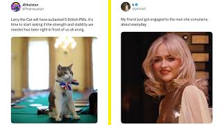 British Humour At Its Finest - Ep.451 | British Memes Wealth
