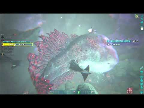 ARK Official PvP - Killing Alpha Moeder