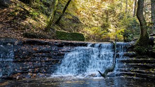 Wieslaufschlucht