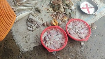 Dạo quanh chợ # Chợ Phan Rí#@