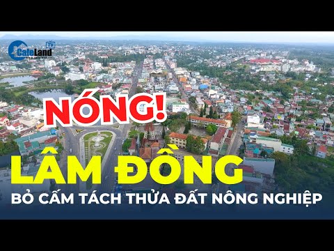 Bản tin BĐS: Sau gần 2 năm, Lâm Đồng bỏ cấm tách thửa đất nông nghiệp | CafeLand 2023 mới nhất