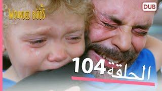 الطيور الجريحة | الحلقة الكاملة 104 |  مدبلج عربي