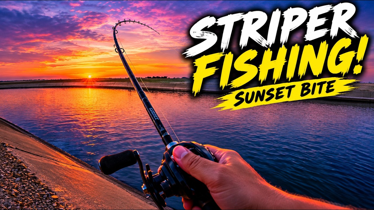 Make my way back to california Aqueduct fishing for stripedbass.