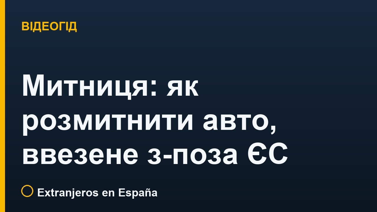 Митниця: як розмитнити авто, ввезене з-поза ЄС (DUA → H1)