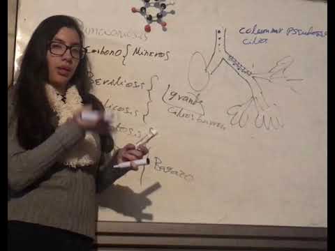 Definición, Clasificación y Patofisiología de las Neumoconiosis. Enfermedad Restrictiva Pulomar.