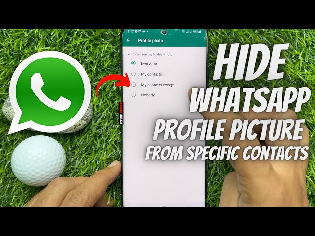 WhatsApp Profile Picture: How to Set Profile Photo on WhatsApp, Hide It  from Particular Contact, and More - MySmartPrice