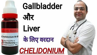 Chelidonium |Fatty Liver | gall bladder stone | Jaundice |