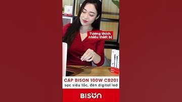 Cáp sạc Bison 100W CB201