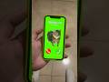 Oiiaoiia cat calling me?