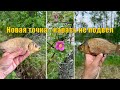 Первый раз на Полушинском — и вот что получилось. Рыбалка 2025.