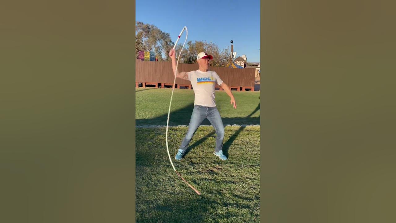 Spectra Bullwhip