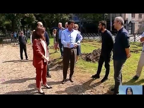 გამწვანების სამუშაოები