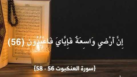 تلاوة خاشعة من سورة العنكبوت للقارئ الشيخ ياسر سلامة من مسجد حمزة بن عبدالمطلب