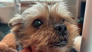 Rupert Passed Away.
