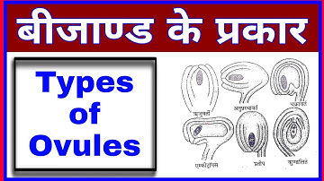 Types of Ovules | Part of Ovules in hindi | Biology Ovules parts class-12th | बीजाण्ड के प्रकार