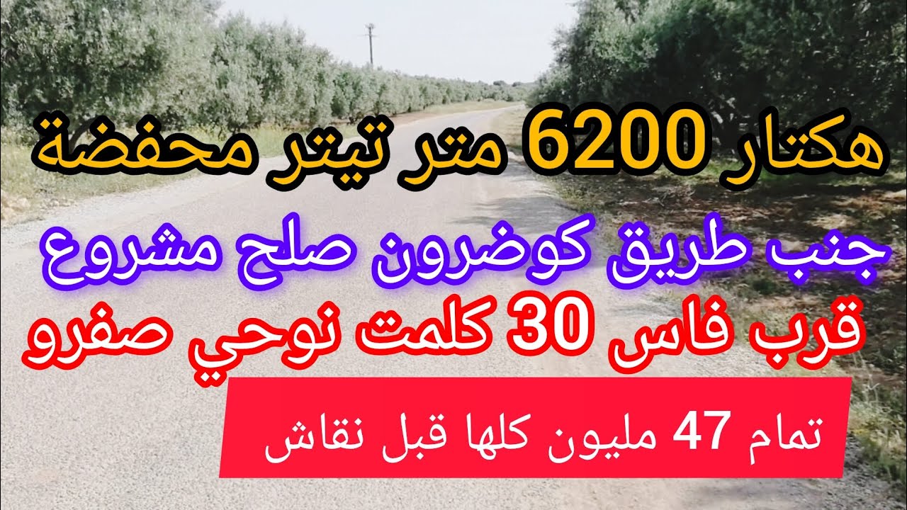 أرضى فلاحية سكنية تجارية فاس نواحي صفرو هكتار 6200 متر تيتر محفضة