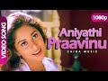 Aniyathipraavinu 1080p  shalini cochin haneefa janardhanan  aniyathipraavu